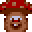 Champignon